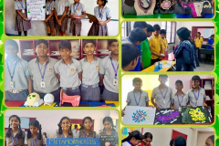 WhatsApp-Image-2025-03-28-at-11.40.18-AM