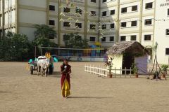 1_pongal-23-6