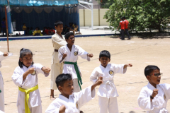 sports-day-24
