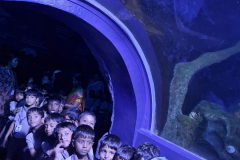 WhatsApp-Image-2025-10-07-at-12.59.51