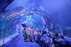 WhatsApp-Image-2025-10-07-at-12.59.52